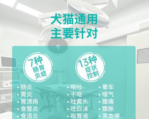 狗狗呕吐怎么办？常用药物与护理指南全攻略