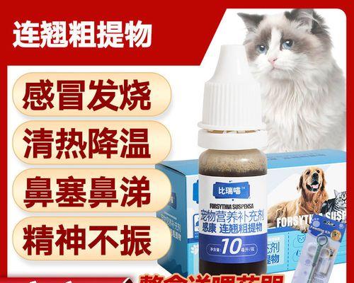 狗狗流鼻涕咳嗽怎么办｜药物治疗实用指南