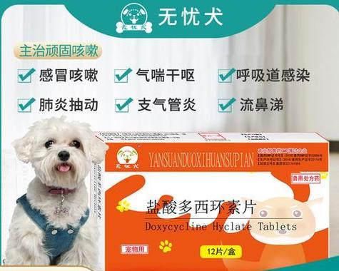 狗狗呕吐怎么办？常用药物与护理指南全攻略(图3)