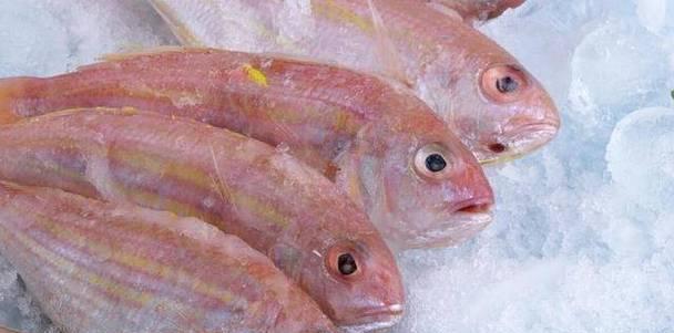 鱼类食物来源与饮食习惯全攻略｜水生动物营养与生态研究(图3)