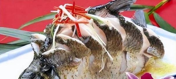 鱼类食物来源与饮食习惯全攻略｜水生动物营养与生态研究