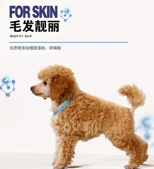 泰迪狗喜爱的狗粮香味全攻略|满足味蕾与营养需求(图3) 泰迪狗喜爱的狗粮香味全攻略|满足味蕾与营养需求(图3)