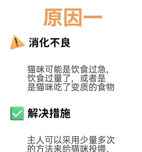 猫一天吐一次吃什么的真相｜饮食健康全攻略(图1)
