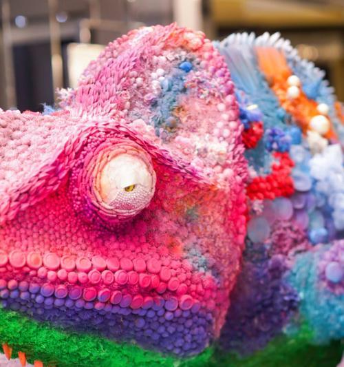 高冠变色的食物喜好与健康益处｜养护实用指南(图1)