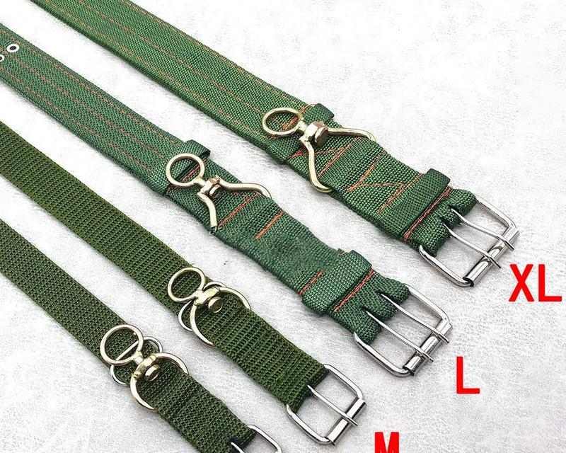 如何为狗狗选择舒适项圈｜实用指南(图3)