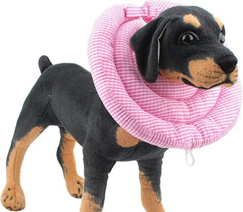 如何为狗狗选择舒适项圈｜实用指南