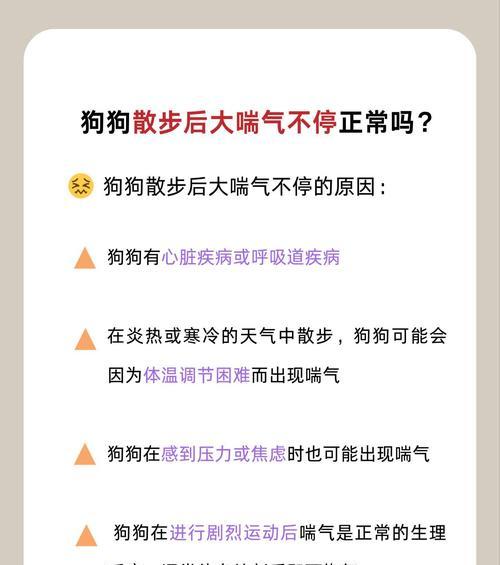 狗狗为什么会伸舌头喘气？（探究狗狗喘气的原因及其重要性）(图2)