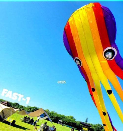 飞盘的多功能应用（探索飞盘的创意用途，发现惊喜无限！）(图3)