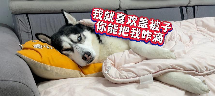 睡觉盖被子的重要性及好处｜实用指南