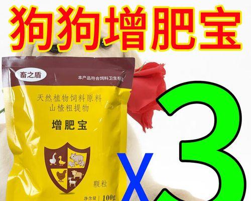 狗粮选择与体重增加的关系｜犬只健康饮食全攻略