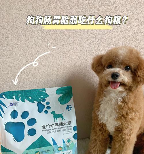 狗狗刚出生吃什么奶粉？（了解狗狗出生后的