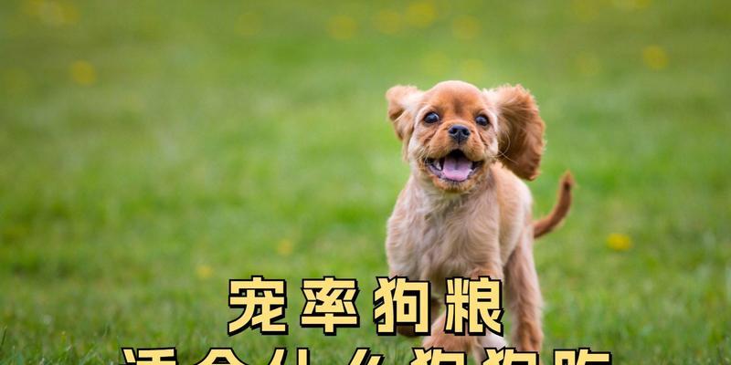 狗粮选择与体重增加的关系(探讨狗粮对犬只体重的影响及预防措施)(图2) 狗粮选择与体重增加的关系(探讨狗粮对犬只体重的影响及预防措施)(图2)
