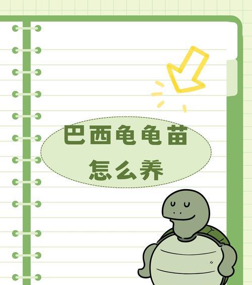 小巴西龟饮水之道全攻略(图3)