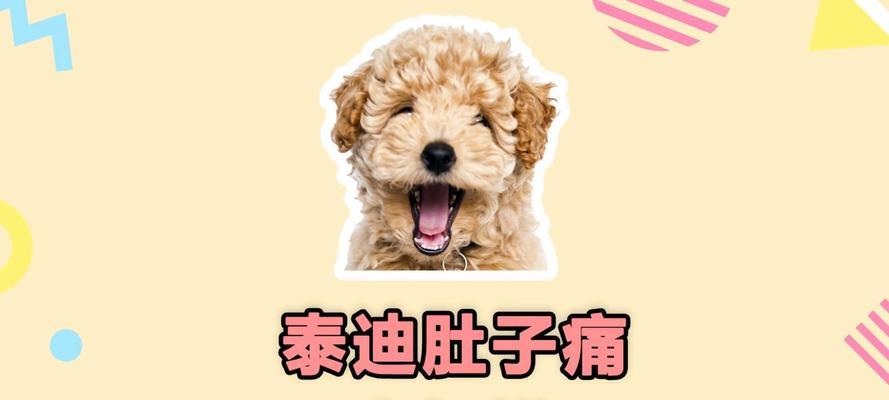 狗狗胀气表现及处理方法全攻略(图2)