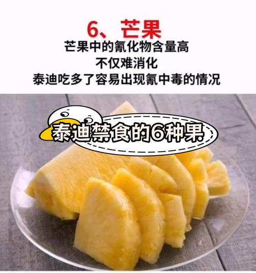 八个月泰迪饮食全攻略(图2)