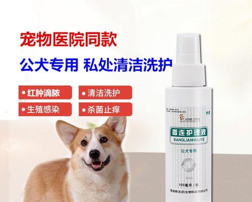 狗狗鸡鸡展现真实可爱传递温暖快乐全攻略(图1)