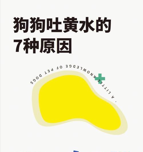 小狗肠胃禁忌食物全攻略