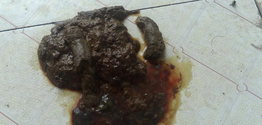 小狗肠胃禁忌食物全攻略(图2) 小狗肠胃禁忌食物全攻略(图2)