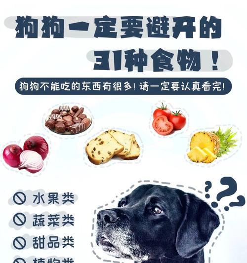 小狗肠胃禁忌食物全攻略(图3) 小狗肠胃禁忌食物全攻略(图3)