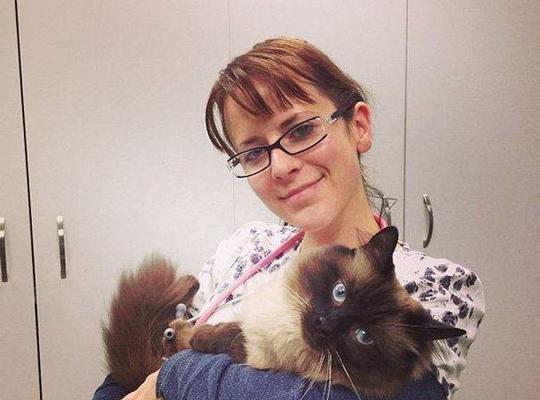 选择以喜欢宠物为主题的工作机会全攻略(图1)