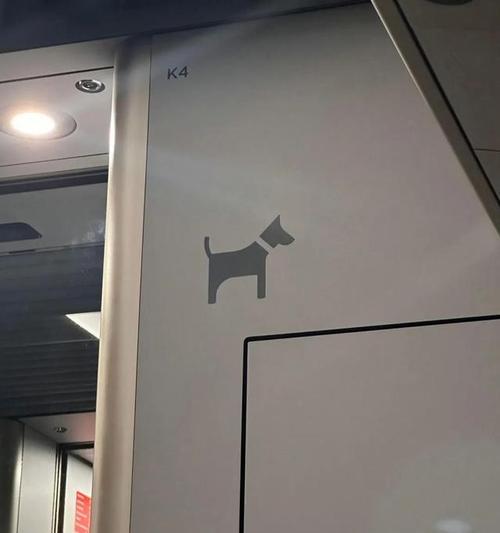 带狗狗乘火车全攻略(图2)