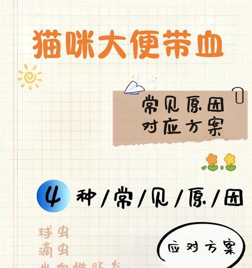 猫粪便稀原因全攻略
