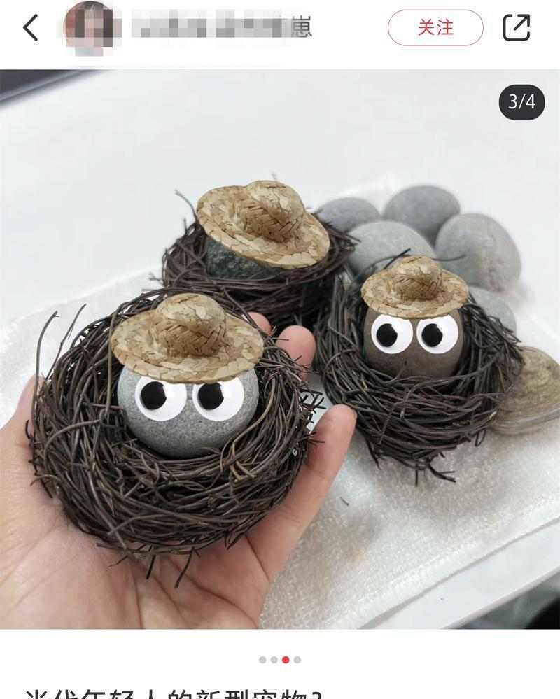 选择以喜欢宠物为主题的工作机会全攻略(图3)