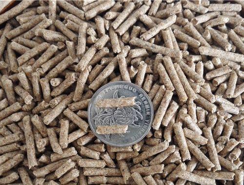 荷兰猪抽筋症状预防治疗全攻略(图1)