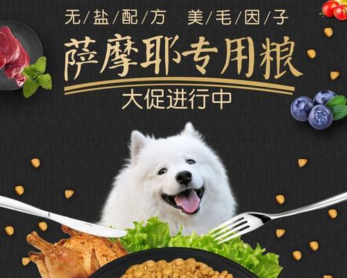狗狗如何防止长白毛？（营养均衡饮食是关键