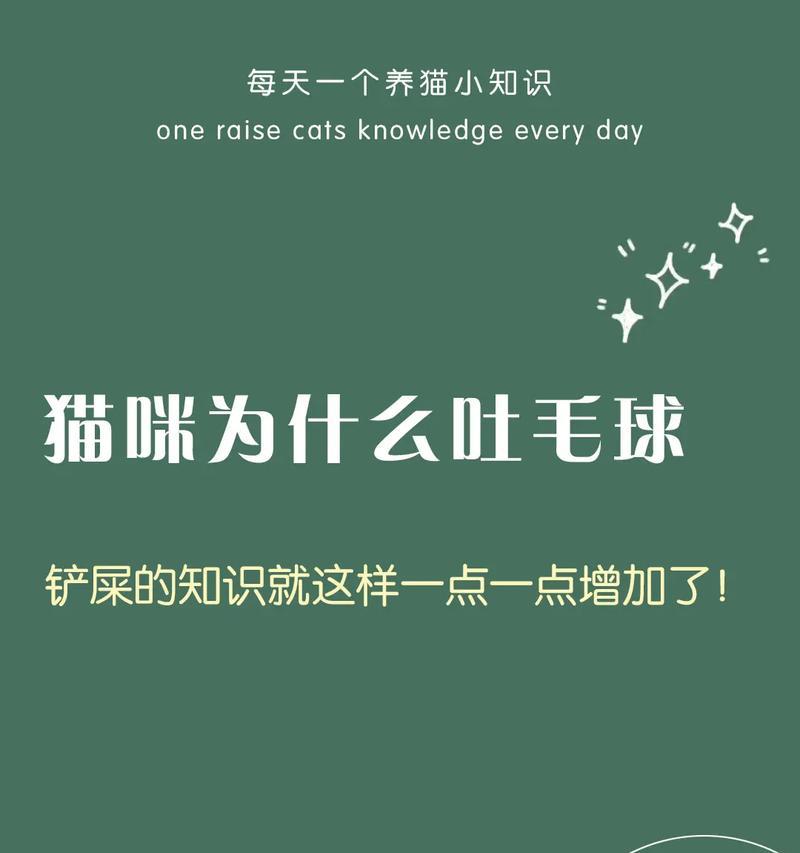 猫咪为何不停叫全攻略(图1)