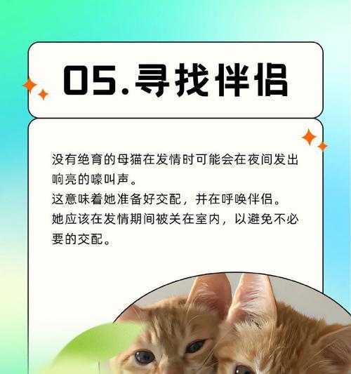 猫咪为何不停叫全攻略(图3)