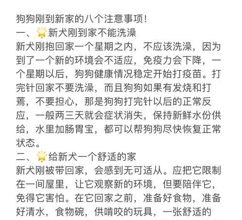 狗狗发烧的预防与护理(全面了解狗狗发烧的症状和处理方法,让你的宠物健康无忧)(图2) 狗狗发烧的预防与护理(全面了解狗狗发烧的症状和处理方法,让你的宠物健康无忧)(图2)