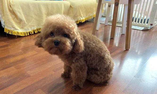 以太迪——探索25体的奥秘（揭秘25体身高之谜，探索人类生长的奇迹）(图1)