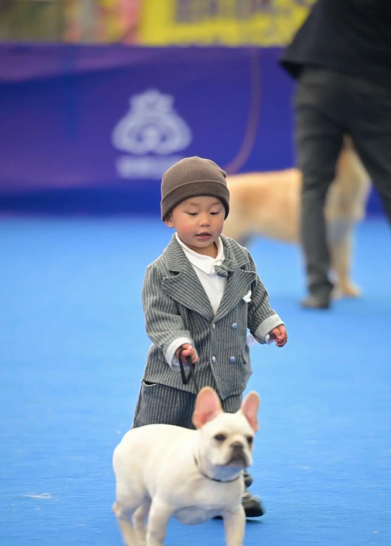 以法斗的发育过程及其关键阶段（探索以法斗成长中的重要时刻）(图1)