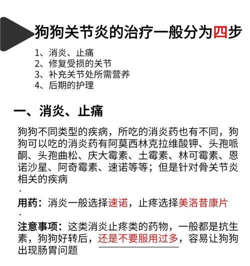 狗狗肚子响怎么办？（了解原因，合理用药解决问题）(图2)