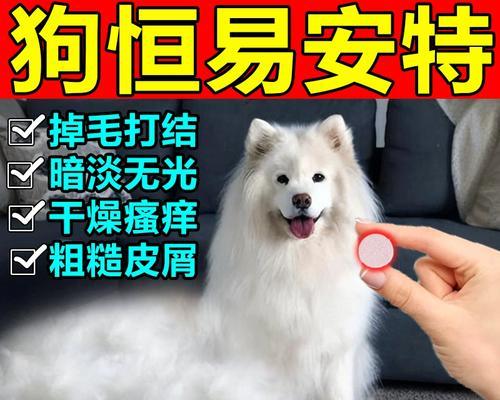 狗狗肚子响怎么办？（了解原因，合理用药解决问题）(图3)