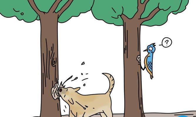 狗狗咬自己原因及应对方法全攻略(图3)