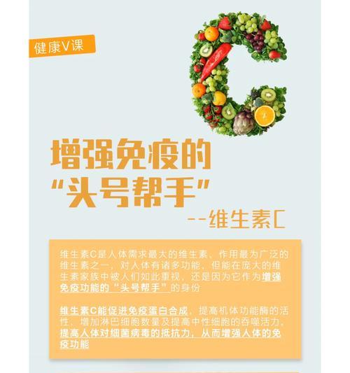 狗狗吃维生素C的重要性与作用｜全面健康指南(图3)