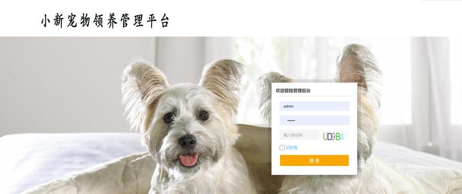 散养宠物的乐趣与挑战：自由与关爱的实用指南(图2)