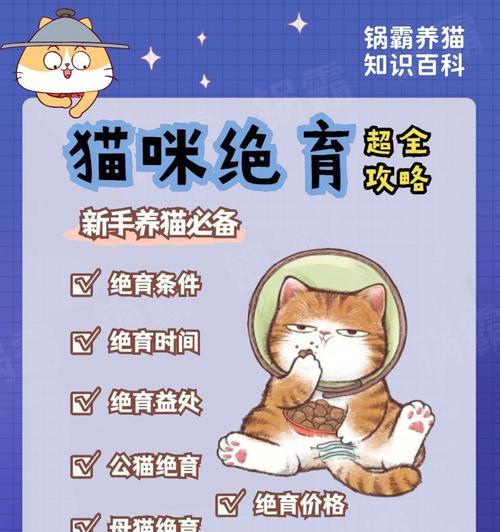猫绝育后如何护理？15个注意事项全攻略