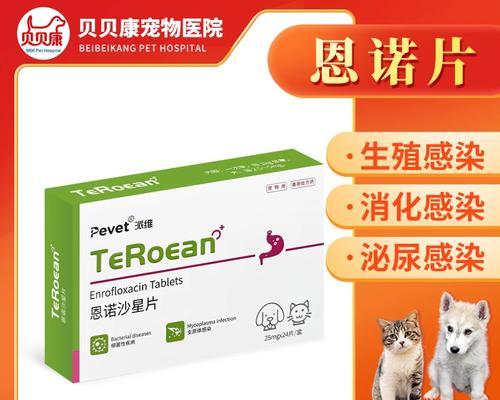 狗狗子宫蓄脓药物治疗全攻略：抗生素选择与用药注意事项