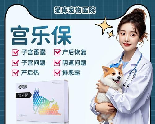 狗狗子宫蓄脓药物治疗全攻略：抗生素选择与用药注意事项(图3)