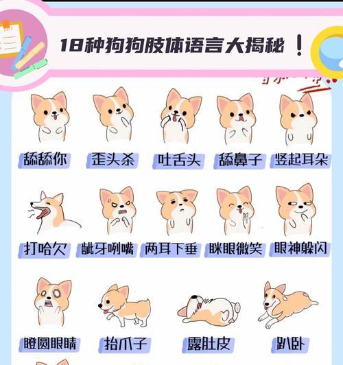 狗眼中的真诚与温暖：15种眼神背后的情感世界解析(图3)