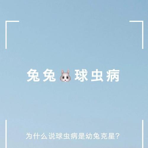 兔子球虫病传播途径与防治措施｜全面预防指南(图1)