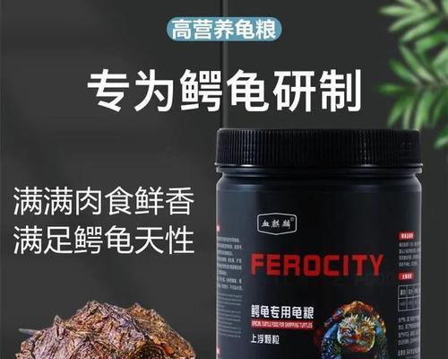 养大鳄龟的注意事项｜打造安全舒适家园全攻略(图2)