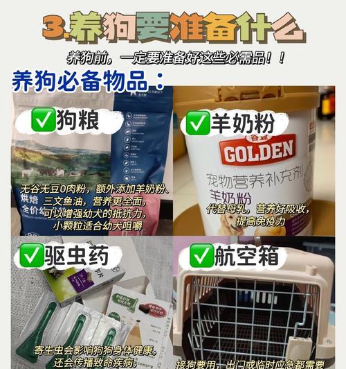 宝宝狗狗断奶前饮食全攻略：科学安排助健康成长｜实用指南(图2)