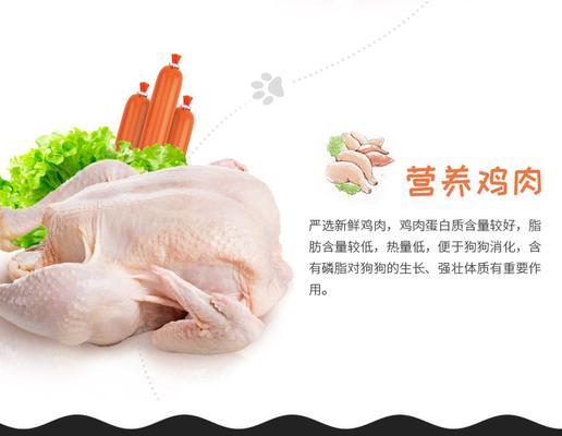 泰迪肠子堵了症状及处理方法：识别风险及时就医全攻略(图2)