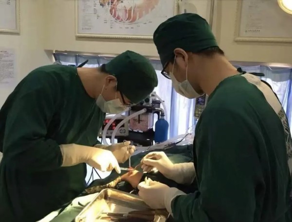 从宠物医生到人大代表：他让三四线城市也有高品质宠物医疗服务｜行业标杆(图3)