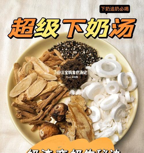 泰迪狗催奶最佳食物选择｜15种营养食材全攻略(图1)