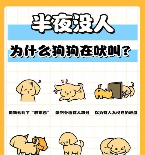 狗为什么半夜跑出去？探究原因及解决方法全攻略(图3)